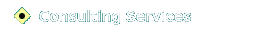 Consulting Services