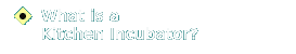 What is a Kitchen Incubator?